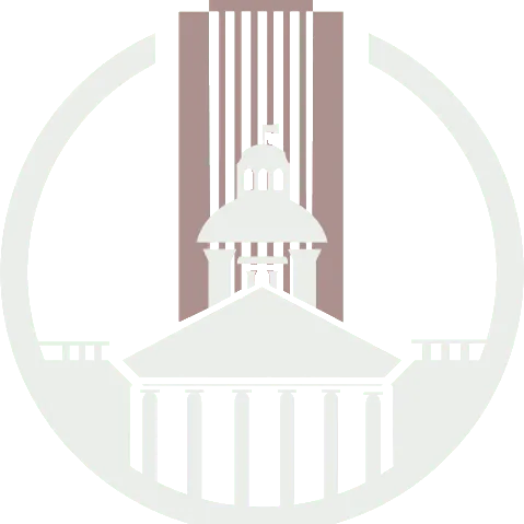 Server Icon